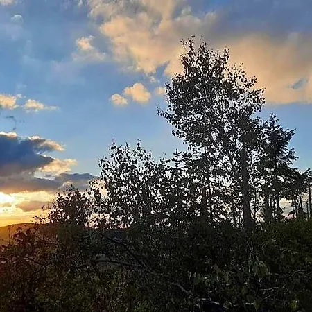 In Nahe Skipisten Szálloda 3*