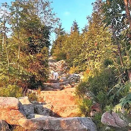 Szálloda In Nahe Skipisten